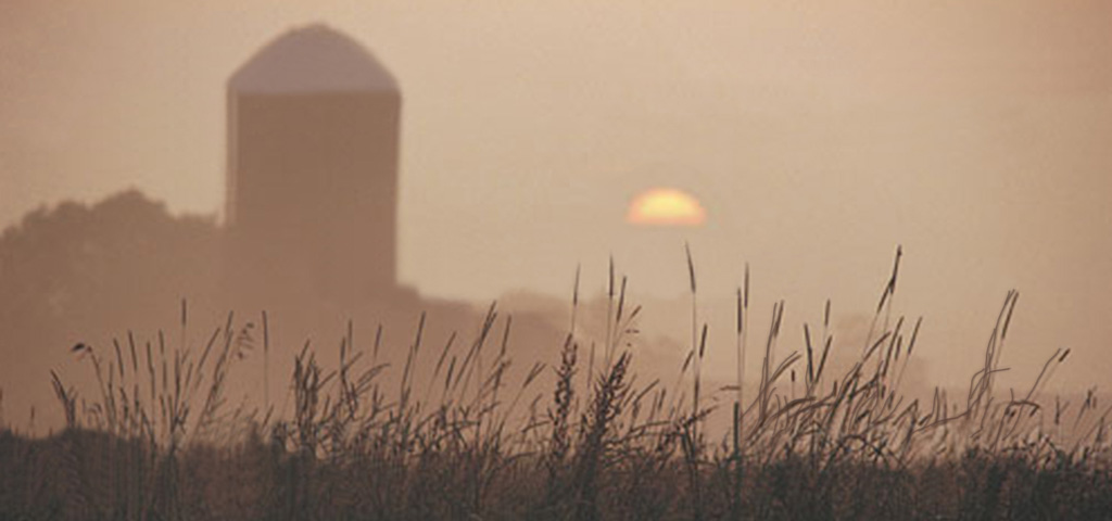 Harvest Sunrise WITH Sun PROOF